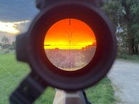 IMG_5426.jpeg