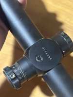 IMG_5203.jpeg