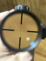 IMG_5207.jpeg