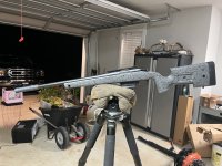 IMG_8098.jpeg