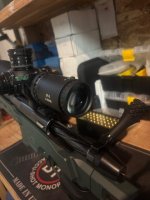 IMG_7271.jpeg