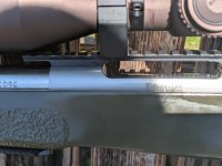 338 +p 4.jpg