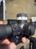 IMG_6784.jpeg