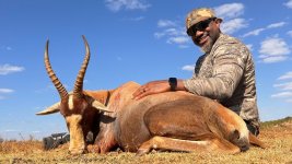 Blesbok.jpg