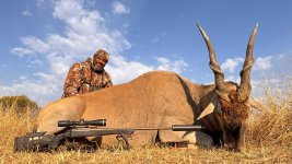 Eland.jpg