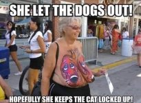 dogs out.jpg