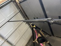 IMG_1043.jpeg