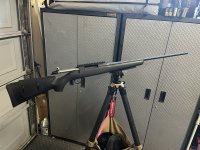 IMG_1041.jpeg