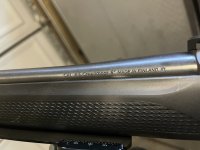 IMG_1044.jpeg