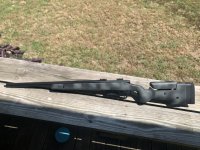 IMG_8572.jpeg