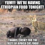 IMG_0346.jpeg