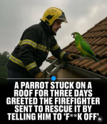 1754852993622.png