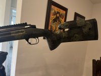 IMG_2818.jpeg