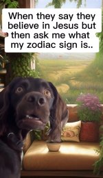 IMG_2453.jpeg
