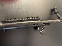 IMG_1919.jpeg