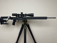 IMG_9619.jpeg