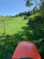 thumbnail_IMG_2427.jpg
