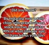 IMG_1837.jpeg