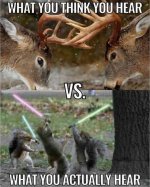 IMG_0500.jpeg