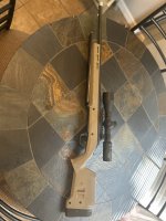 IMG_2071.jpeg