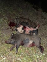 IMG_0958.jpeg