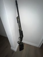 IMG_3688.jpeg