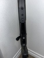 IMG_3679.jpeg
