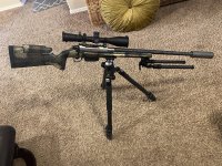 IMG_6913.jpeg