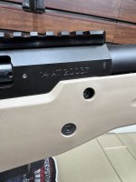 IMG_2845.jpeg