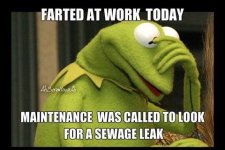 IMG_0930.jpeg
