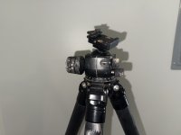 IMG_1116.jpeg