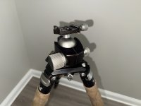 IMG_1118.jpeg