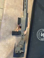 IMG_3495.jpeg