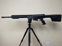IMG_9633.jpeg