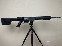 IMG_9636.jpeg