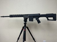 IMG_9628.jpeg