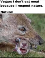 nature.jpg
