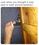 IMG_6873.jpeg