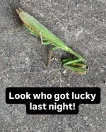 1755715200792.jpeg