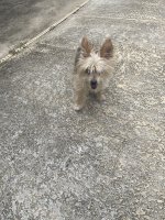 IMG_6878.jpeg