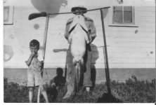 pat.catfish.jpg