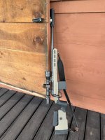 IMG_0217.jpeg