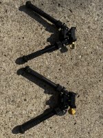 IMG_4376.jpeg