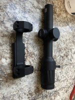 IMG_1031.jpeg