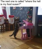 1756041428328.jpeg
