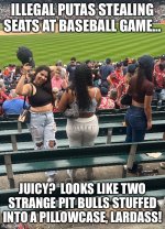 IMG_0768.jpeg