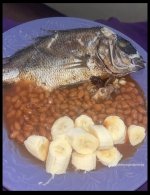 IMG_2610.jpeg