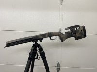 IMG_8666.jpeg