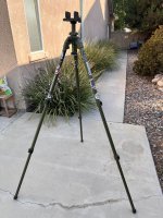 IMG_3308.jpeg