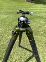 IMG_0055.jpeg